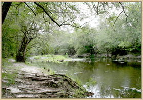 Withlacoochee River Georgia