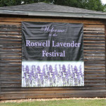 Barrington Hall Lavendar Festival Roswell Georgia